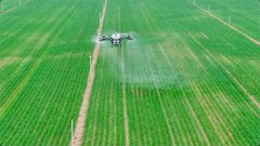 农业农村厅副厅长周连合